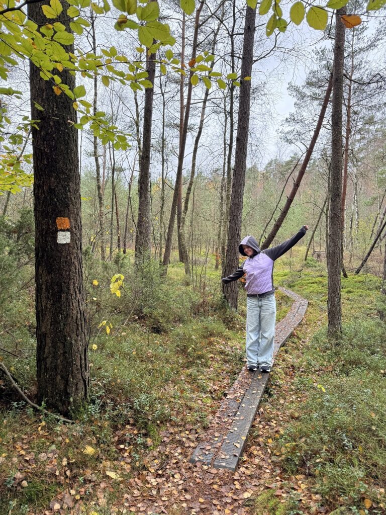 Stigen mot Mossen går på spång.